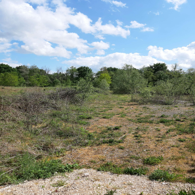 Offres de vente Terrain Auxonne (21130)